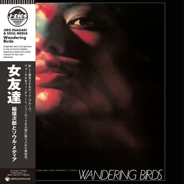 WANDERING BIRDS (CLEAR PURPLE VINYL)
