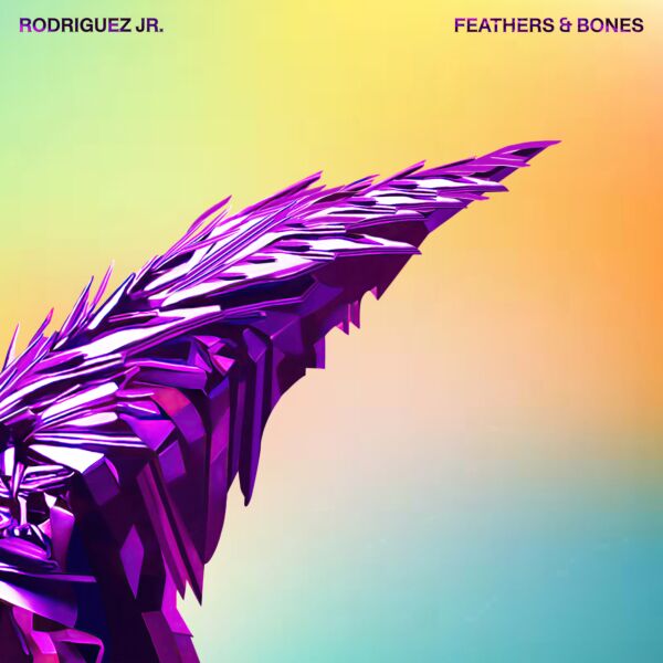 FEATHERS & BONES