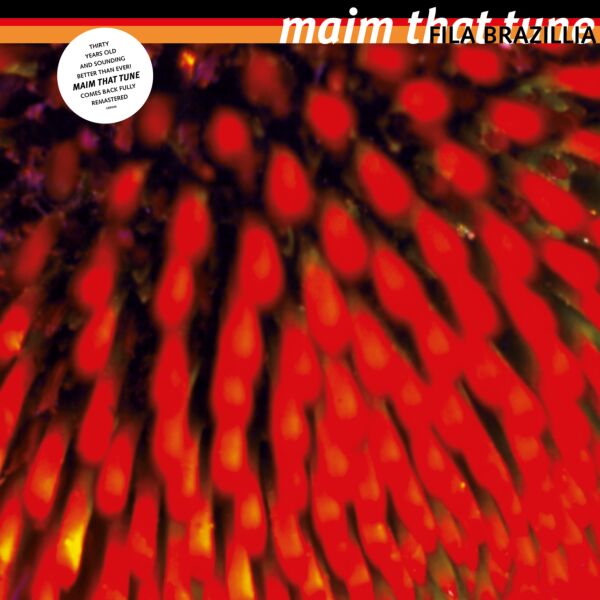 MAIM THAT TUNE (30TH ANNIVERSARY REPRESS)