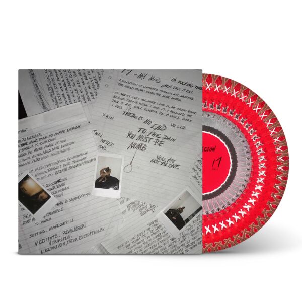 17 (PICTURE DISC) (REISSUE)